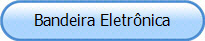 Bandeira Eletr�nica