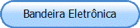 Bandeira Eletr�nica